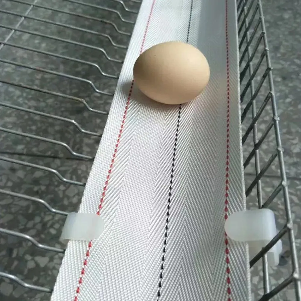 Taşıyıcı Bantlar